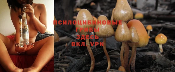 mix Богданович