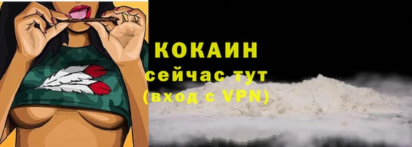 шишки Богородицк