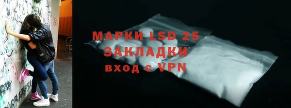 шишки Богородицк