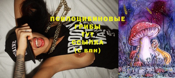 шишки Богородицк
