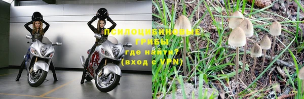 метадон Богородск
