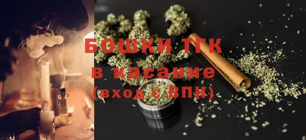 шишки Богородицк