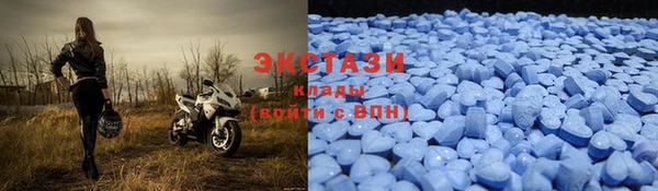 шишки Богородицк