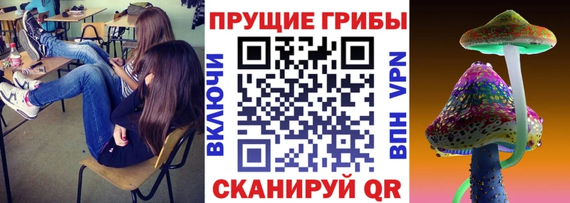 купить цена Плёс Галлюциногенные грибы мухоморы